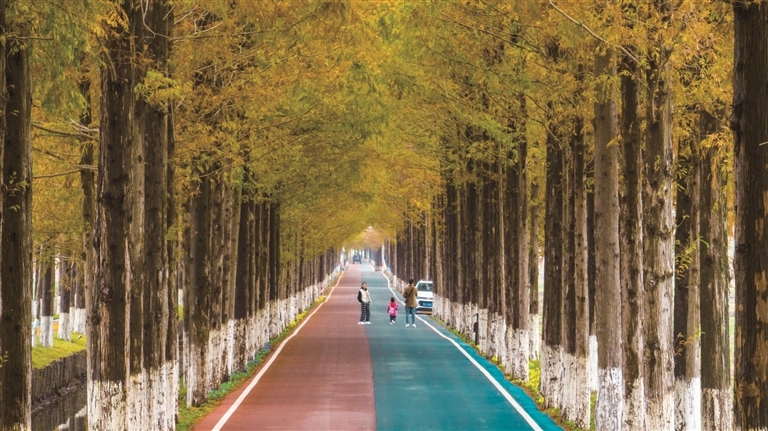 全椒县椒岭风景线的美丽风光通讯员 沈果摄