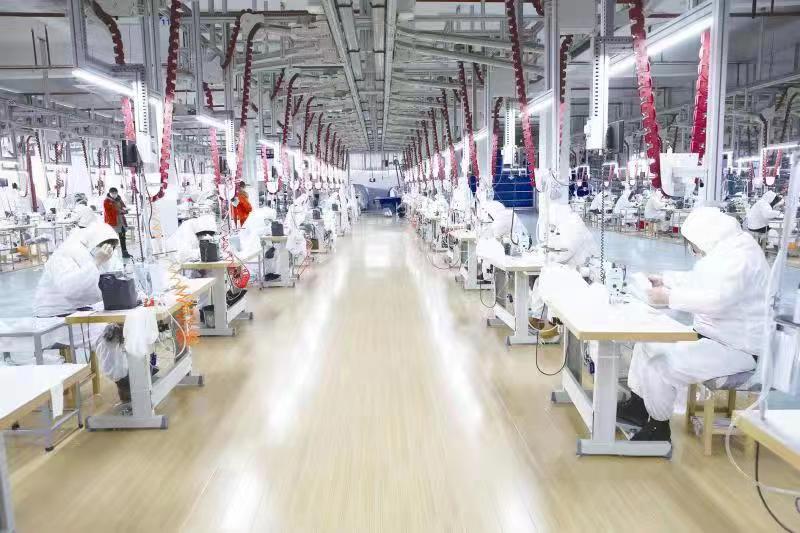 不断强化龙头型企业引进培育（方勇 摄）