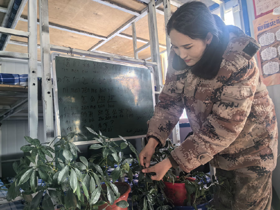 图为古丽布韦.伊斯热依力在精心呵护执勤房里的花儿（查燕荣 摄）