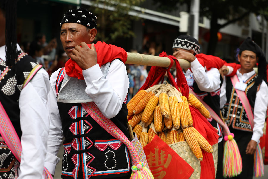 巡游队伍（李凡  摄）
