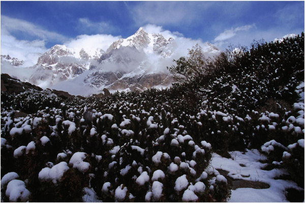 图为天山最高峰托木尔峰（阿轩 摄）