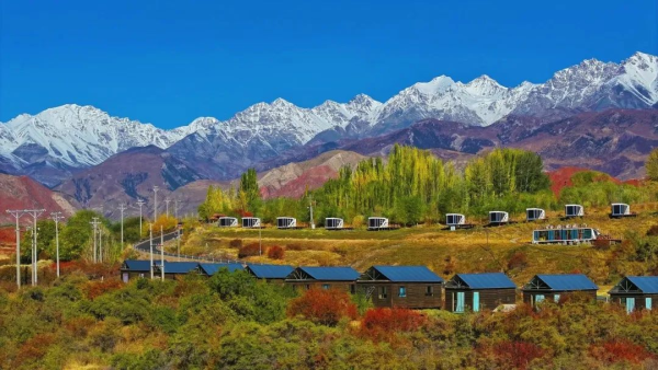 图为天山托木尔森林公园（阿轩 摄）