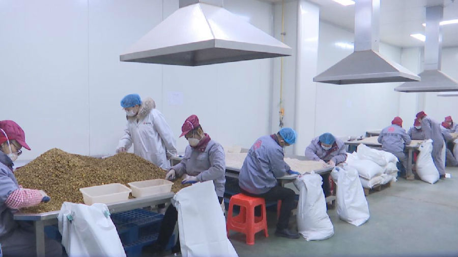 图为湖北聚瑞生物科技有限公司正在加紧生产（李璐 摄）