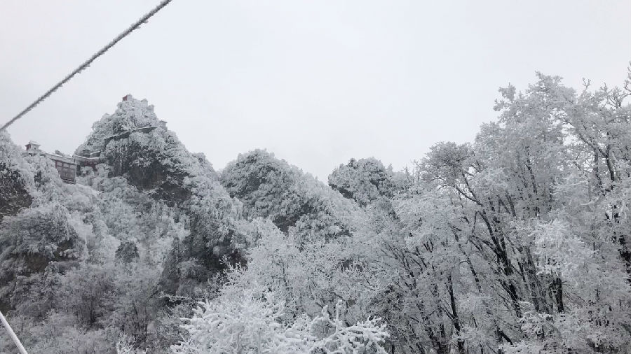 图为武当山的索道钢绳已结冰（朱江 摄）