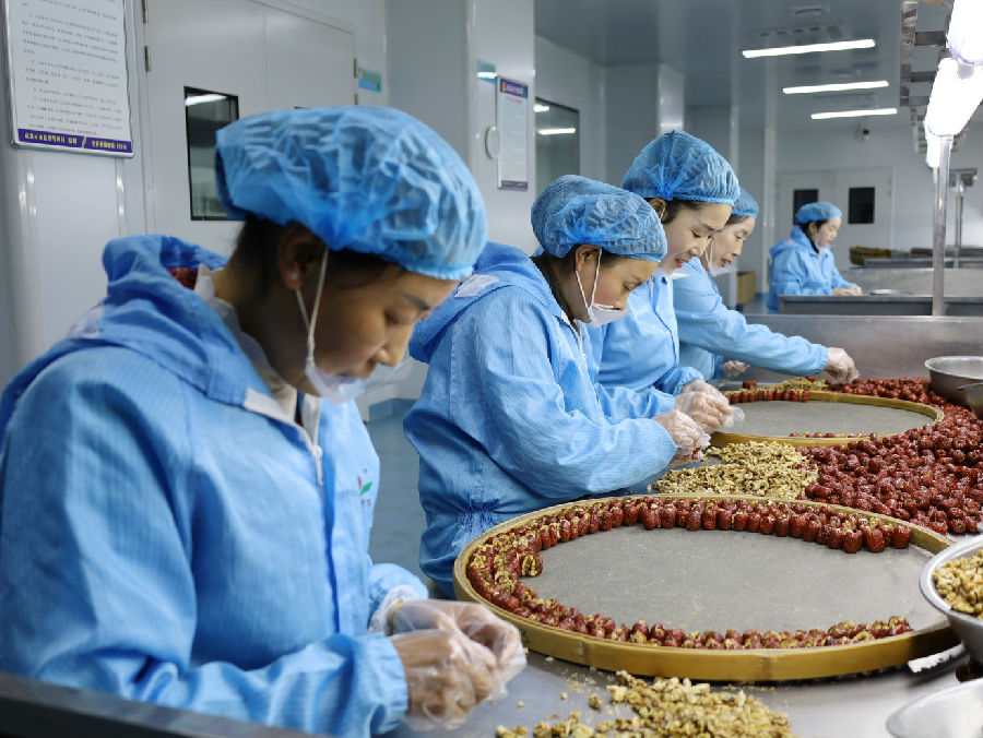 陇南华龙恒业公司核桃仁系列产品生产车间生产忙（刘建军 摄）