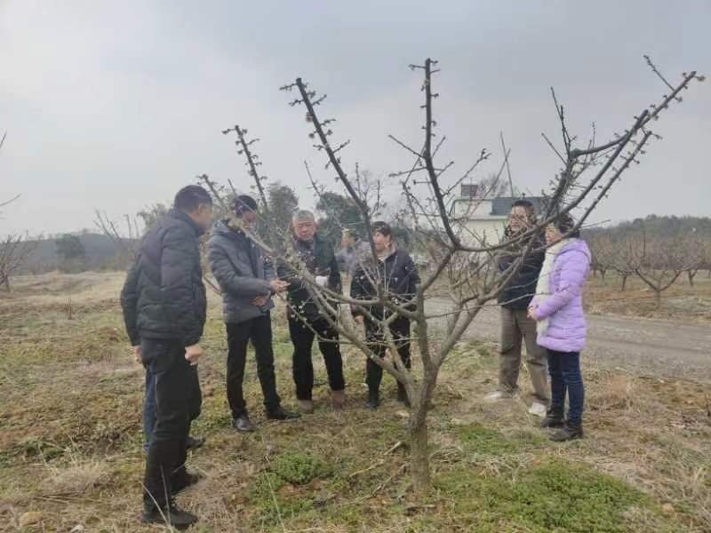 考察产业基地（袁金羊 摄）