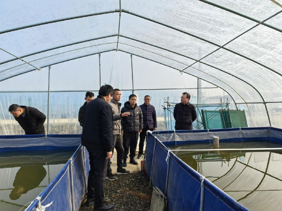 峰阳村退役军人范国飞创建水蛭养殖基地（史九永 摄）