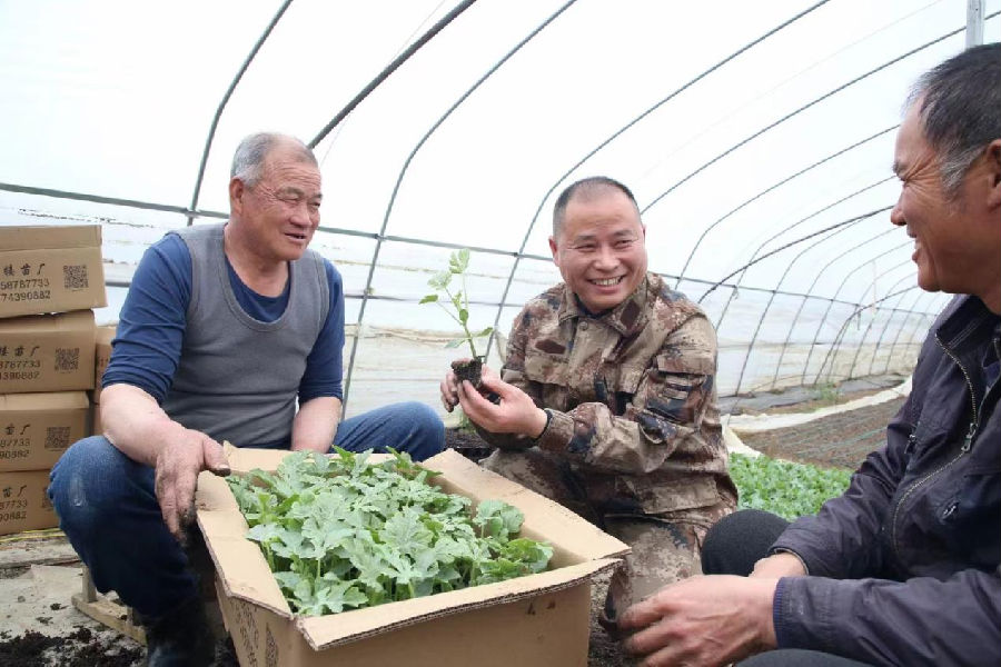 汊涧镇汊北村“兵支书”陈云带领村民建起果蔬大棚（史九永 摄）
