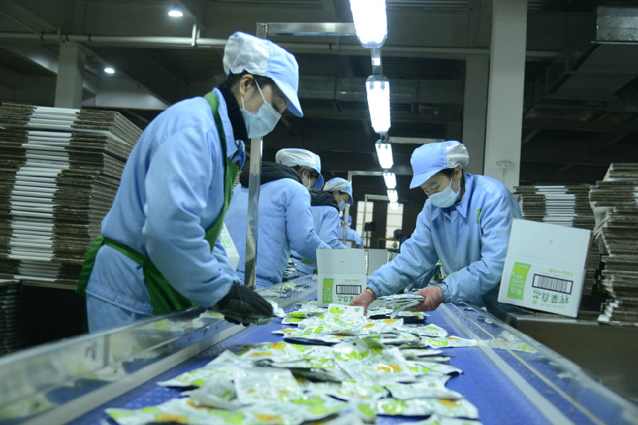 工人正在分装榨菜（李霞 摄）