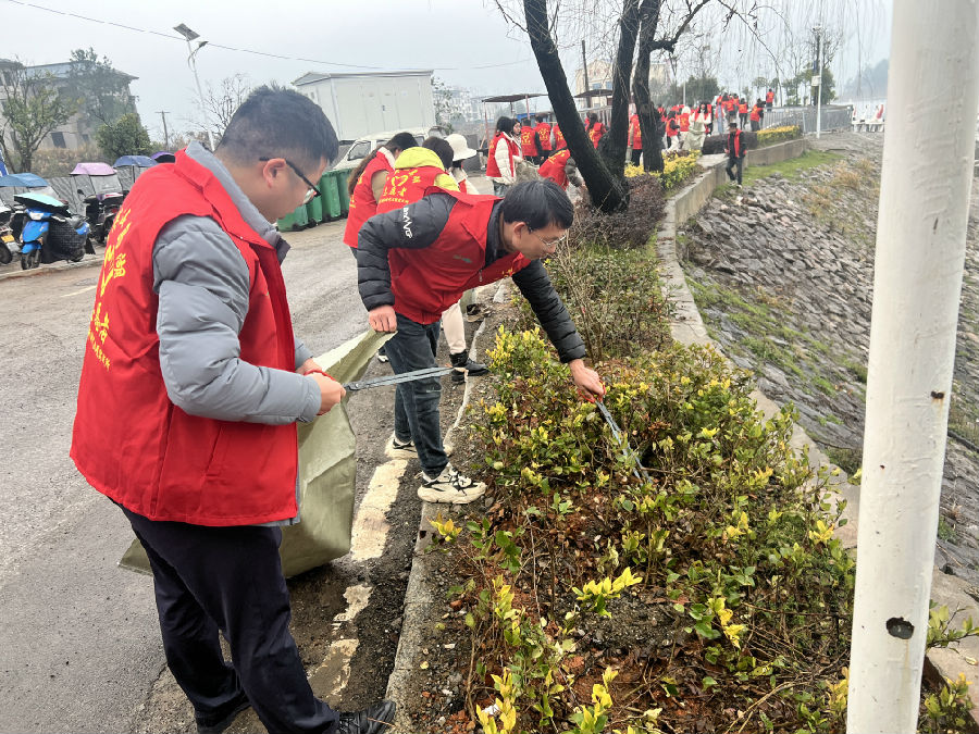 图为志愿者捡起岸边土壤里的白色垃圾（吴佳鑫 摄）