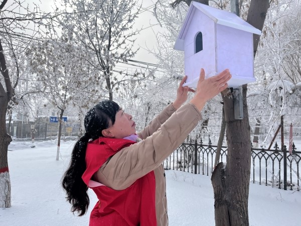 图为志愿者正在为小鸟安家 （蒋红 摄）