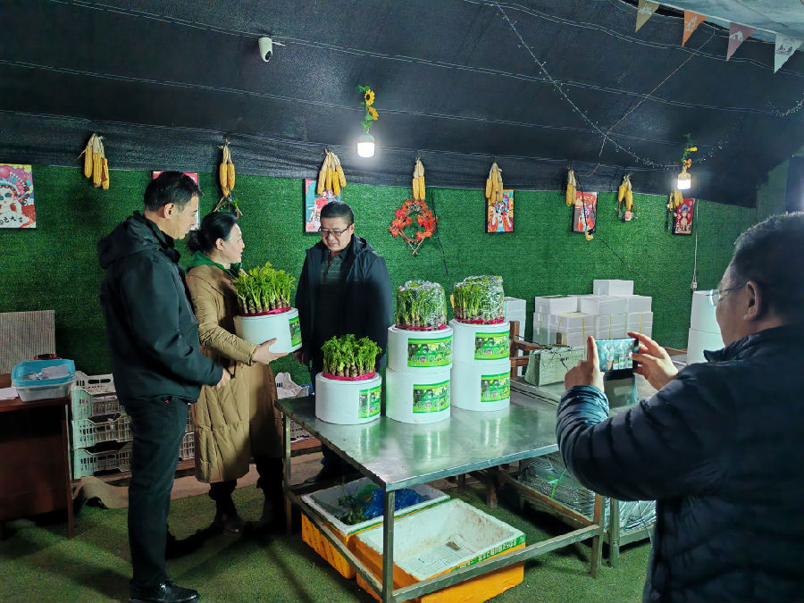 泓泰山野菜现场购买的客户（王浩宇 摄）