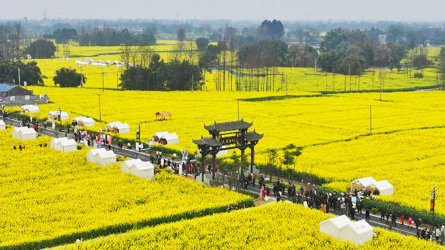“天府酒村”热闹非凡（粟新林 摄）