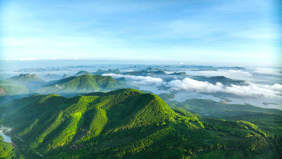 象州天盖山林场（区海平 摄）