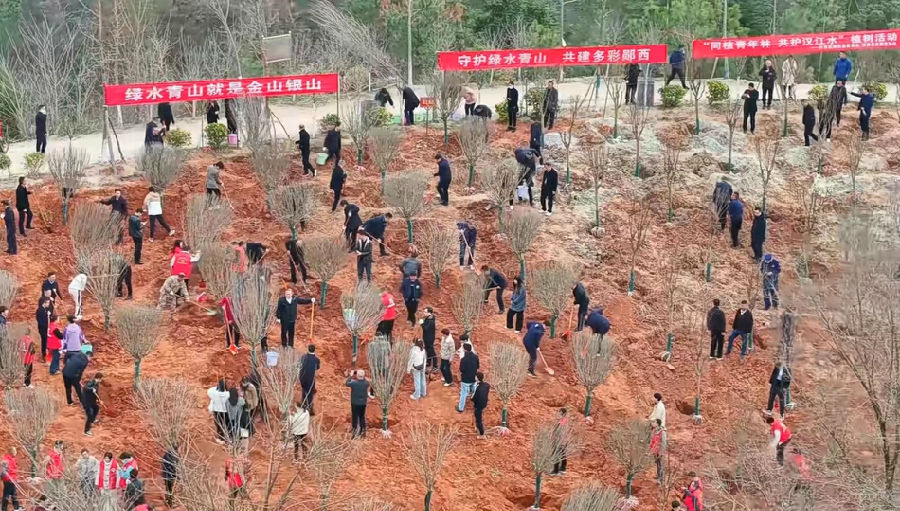 图为郧西县华盖山山体公园集中植树现场 （徐光意 摄）   