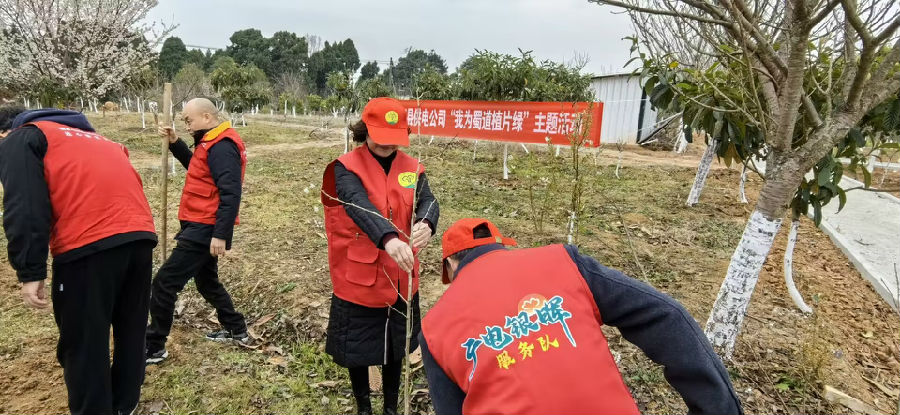 植树现场（谭万方 摄）