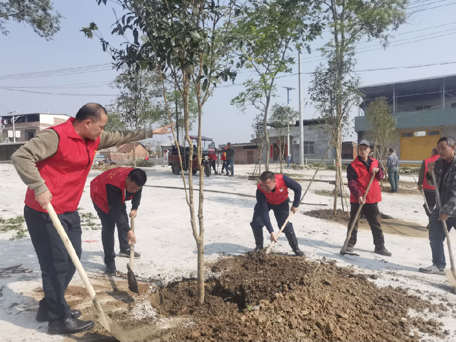 图为植树活动现场（韦家朴 摄）