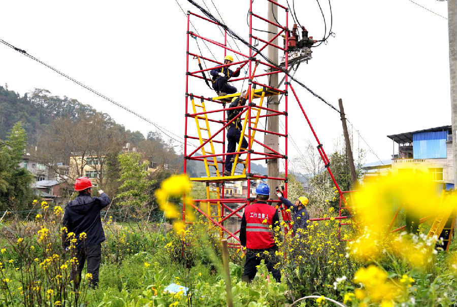 3月13日，福建建瓯市供电公司对10千伏顺阳线，峰梅线进行综合改造。（陈书忠摄）