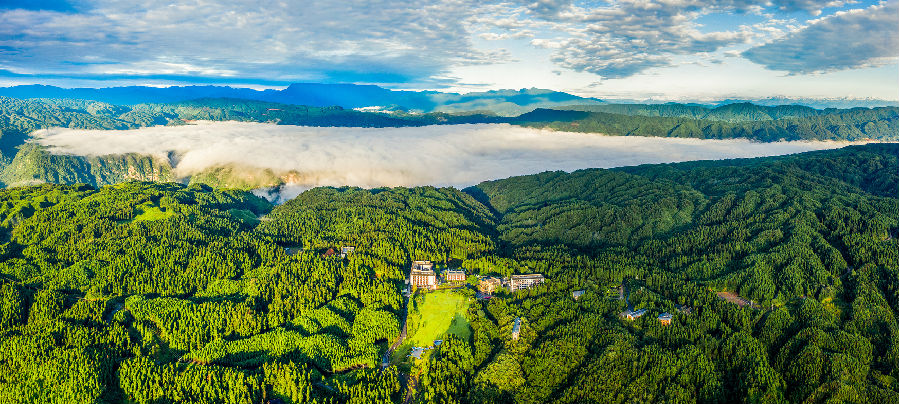 《森林康养生态洪雅》（张佳豪摄）