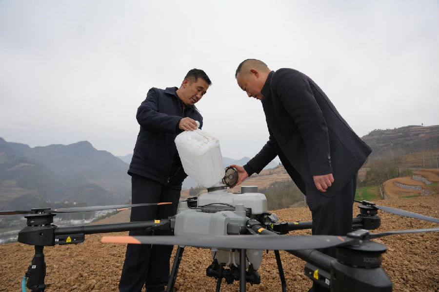 无人机手正在配比农药做起飞前的准备 （陈佳 摄）