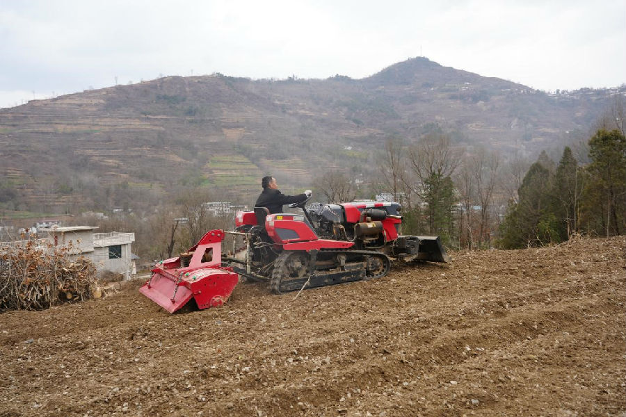 寺台镇杨湾村撂荒地整治现场 （李蓉 摄）