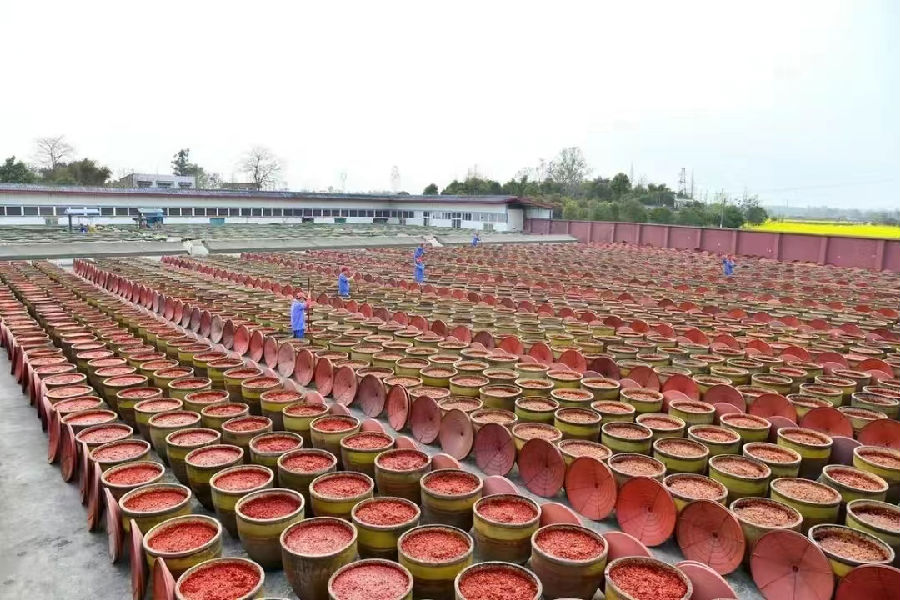 “川菜之魂”郫县豆瓣（戚原  摄）