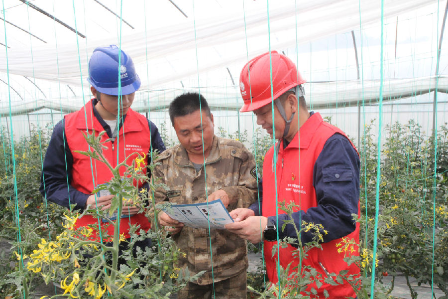 国家电网福建电力“双满意”（政和）共产党员服务队正在为农场负责人介绍“网上国网”APP（张荣麒 摄）