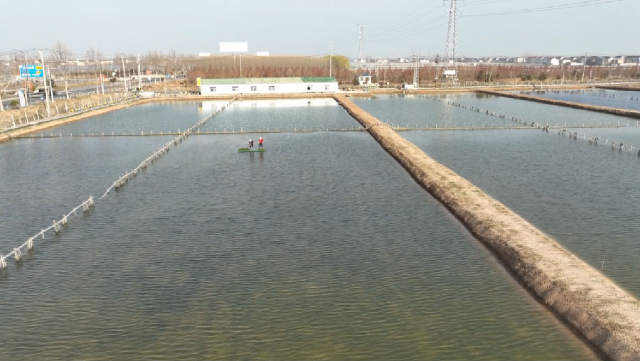 宋成伍家的螃蟹养殖基地（孙荪 摄）