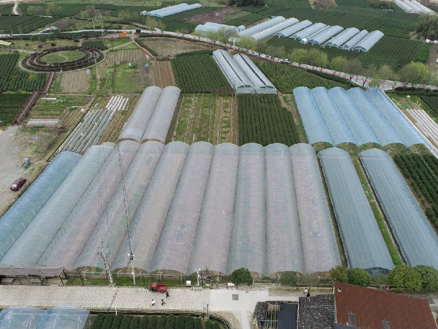 石圳村四季农场全景（张荣麒 摄）