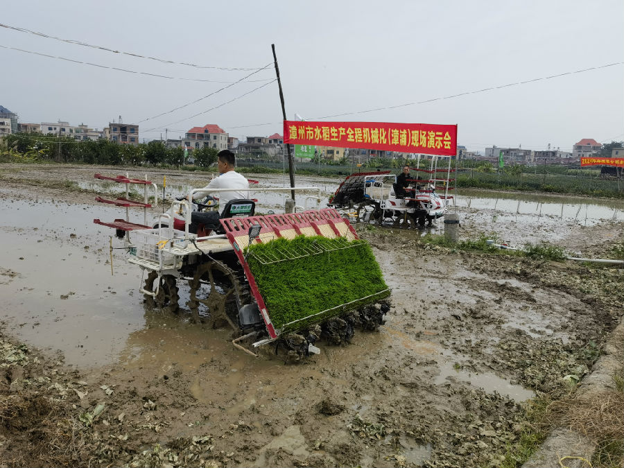 在现场，农达家庭农场进行机械化播种演示（庄巧丽 摄）