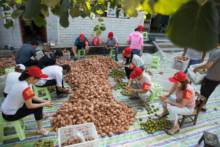 形式多样的志愿服务活动（张敏 摄）