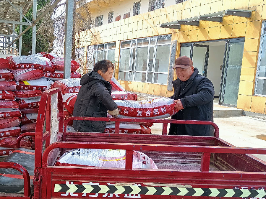 图为樊城区牛首镇王坡村正在免费发放复合肥 （王芬 摄）