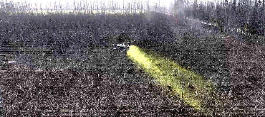 图为无人机在农机手的操控下，沿着核桃园匀速飞行，雾状的农药随着气流均匀地散落在田间地头（杨礼文 摄）
