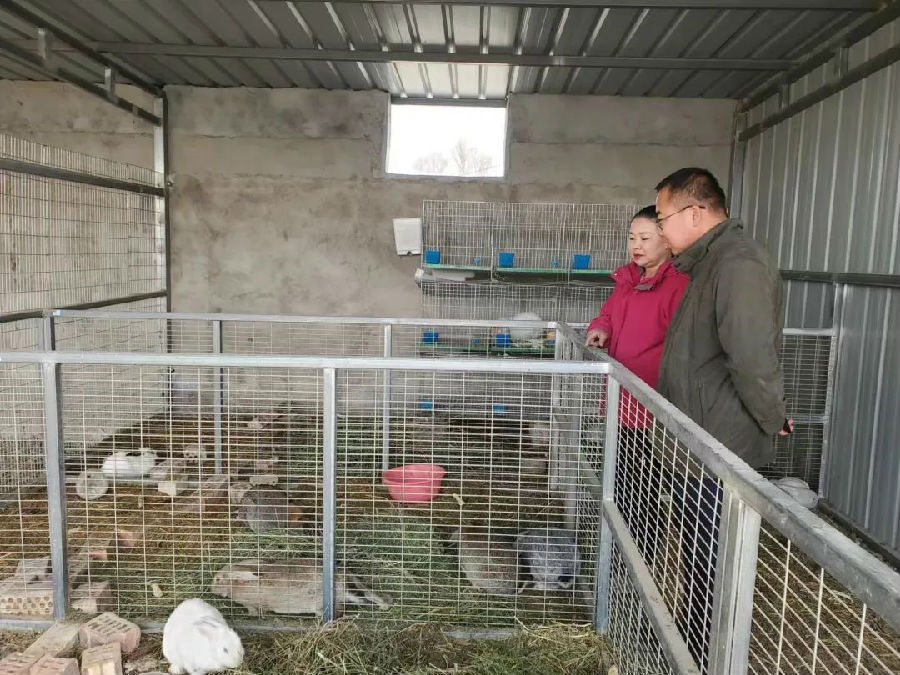 图为巴州和硕县新塔热乡大力发展“庭院+肉兔养殖”产业（温翠平 摄）