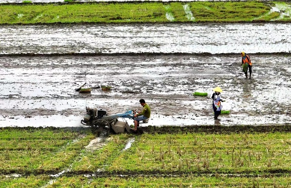 村民们春耕备耕 （黄文杰 摄）