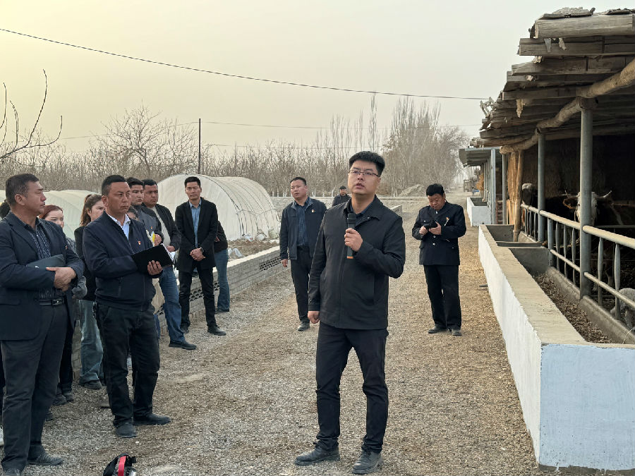 图为现场讲解（李春阳 摄）