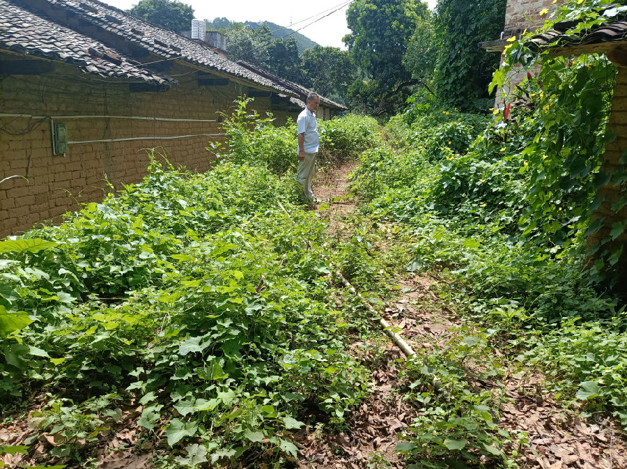图为官山村新田坡顶示范点硬化前的小路（何子富 摄）