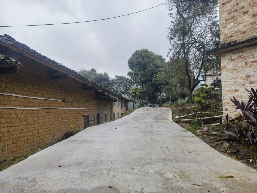 图为新田坡顶示范点硬化后的道路（何子富 摄）