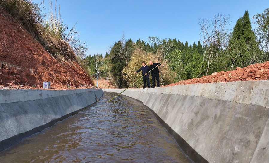 在仁寿县谢安镇新民村，水利工作人员正在巡视查看渠道流水情况 （潘帅 摄）