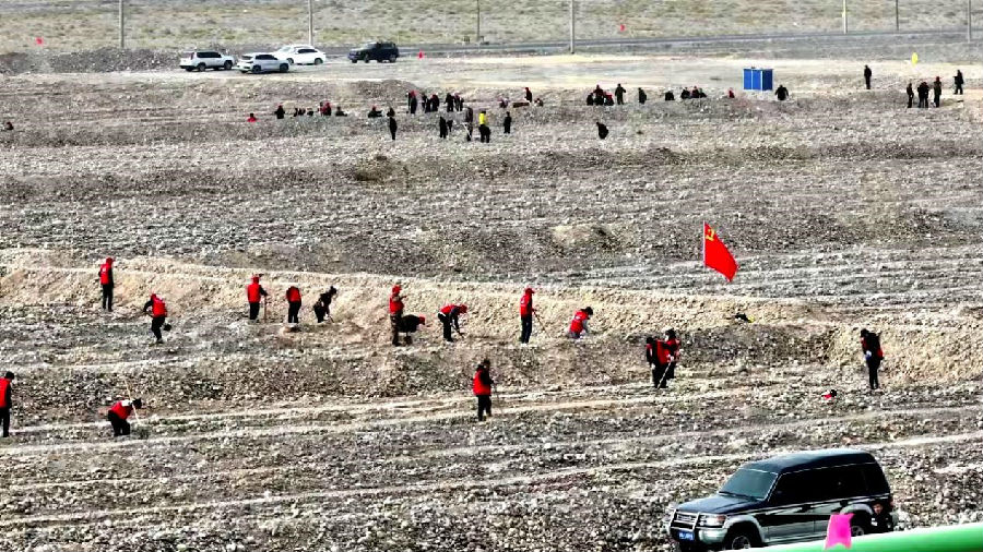  图为温宿县各族干部群众在戈壁荒滩上植栽沙棘 （杨礼文 摄）