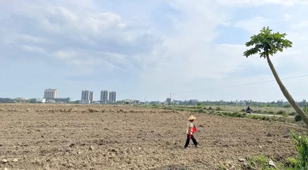 村民在播撒种子 （杨玲 摄）