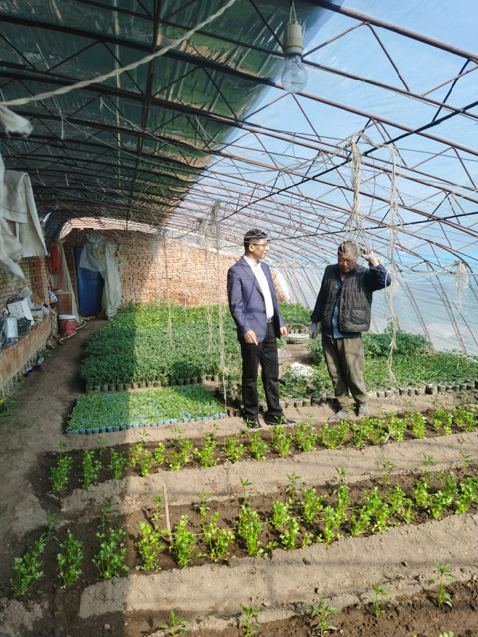 朝阳支行工作人员到贷款户大棚里了解蔬菜生产情况（田荣义 摄）