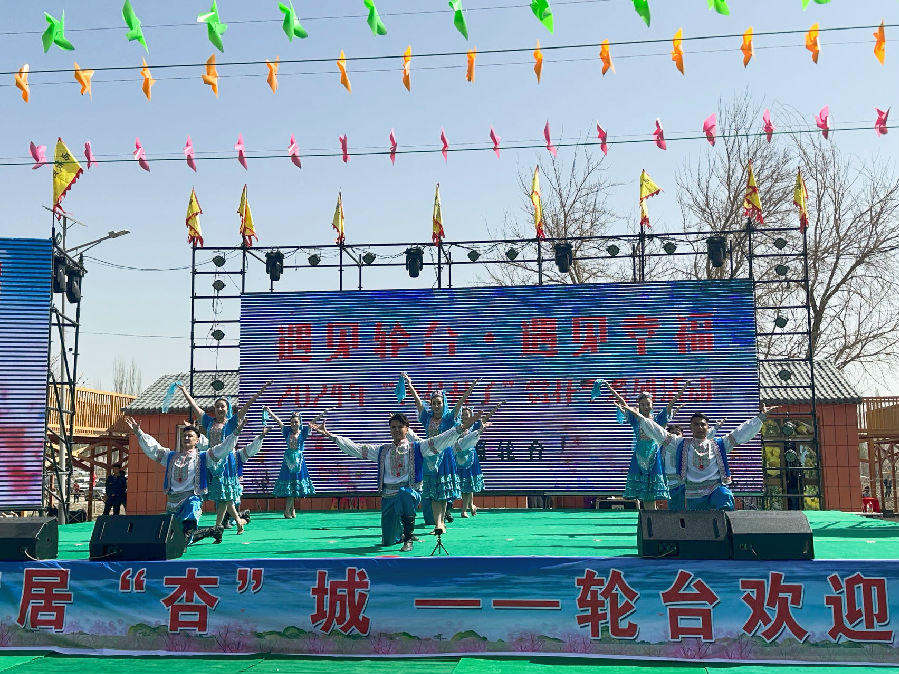 图为2024年“杏花开了”赏花季系列活动现场（李新芳 摄）