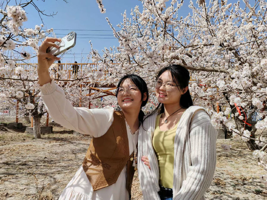 图为2024年“杏花开了”赏花季系列活动现场（李新芳 摄）