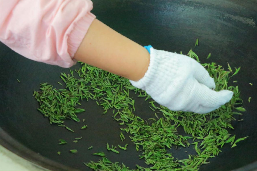 炒茶（姜旭蕊 摄）