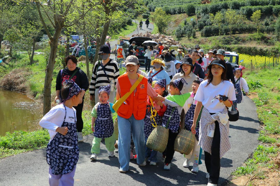 研学师生一起上山采茶（姜旭蕊 摄）