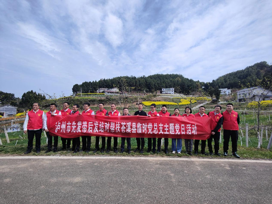 泸州市结对帮扶苍溪县临时党总支开展主题党日教育活动（黄华 摄）