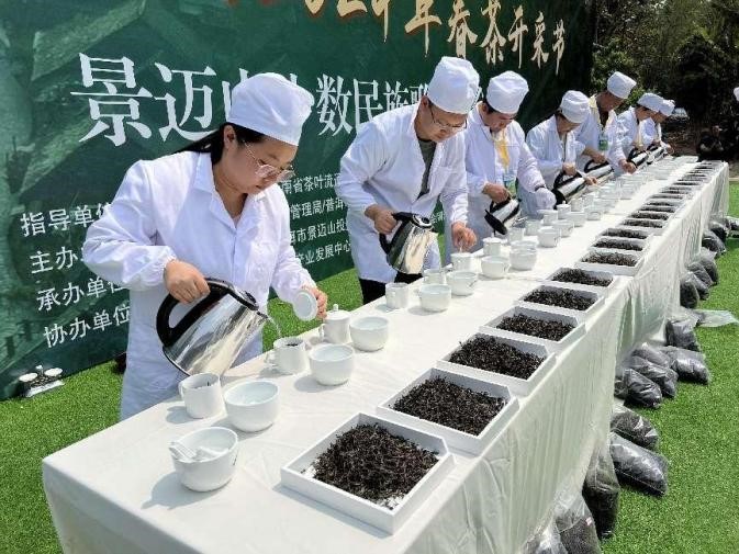 比对评审（李大萍 摄）
