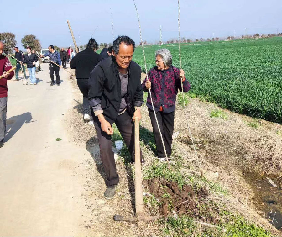 植树现场（曾良 摄）