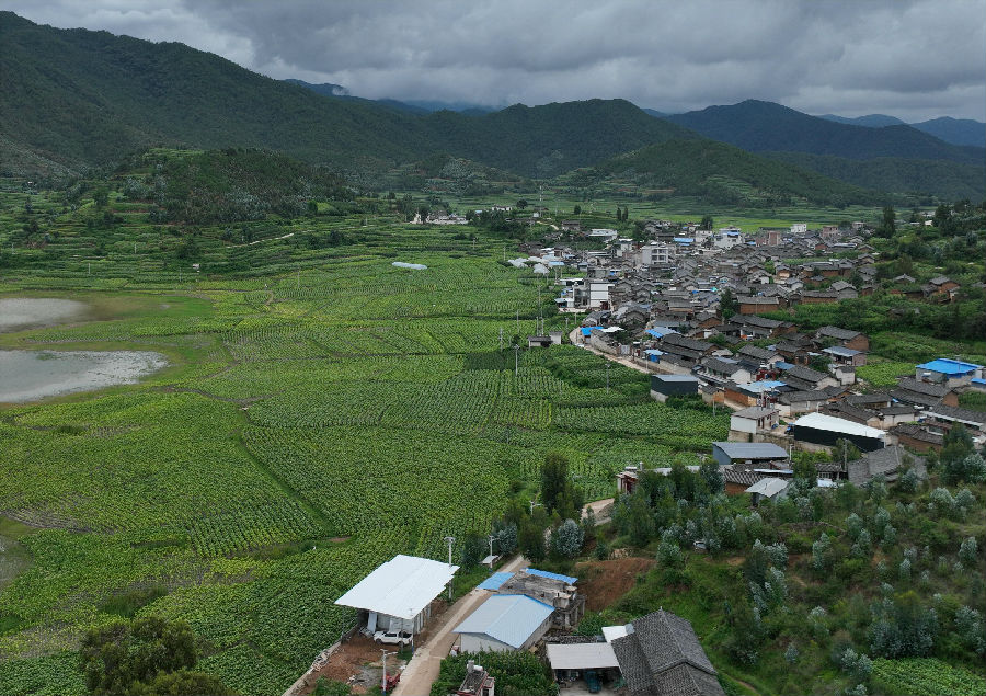 小坪水库受益农田（方超 摄）
